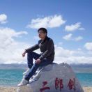 whynotyes's Avatar