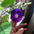 wx_菩提本无树，明镜亦非台76