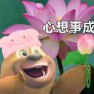 u客直谈实名认证史勃徽