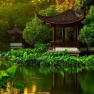 范的头像