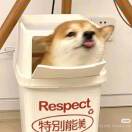 用户15921408