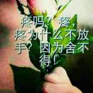王女士的头像