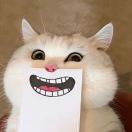 此账号已注销-前行者团队