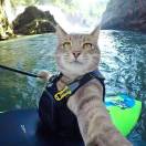 冷冬-邹的头像-博士钣金 - www.bsbanjin.com