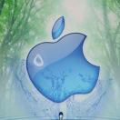 cd335200的头像-棉花糖会员站