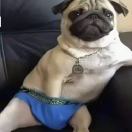 郭先生的头像