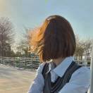 宣丿头像