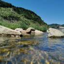 修齐治平的头像-熵减岛