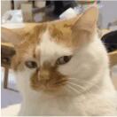 头伸过来给你加个buff的头像-音创社AI SonoCraft丨科技改变未来