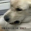 用户25042701的头像-VAM®克苏恩资源社区