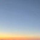 Profile picture of 香樟树