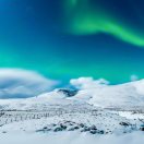 ゞ恭嬉发财ゞ_258