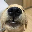 user_sfccchx5tx4g27k8 member profile picture