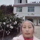 李朴蓉18349399683