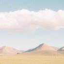 null转租&房东直租