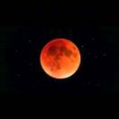 exp336的头像-小哥网