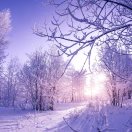 用户91314747的头像-博士钣金 - www.bsbanjin.com