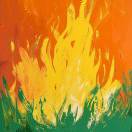 LiuMJ的头像-秀琴曲谱网