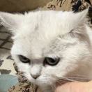 刘总一游的头像