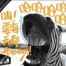 蛙ha哈