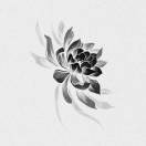 尉迟神缘的头像-传承国学正统持焰学堂