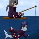 SharkBaby