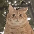 Profile picture of 756968602