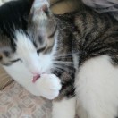 扎红头绳的演奏视频