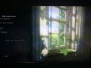 wx_爱撸的小旺财83