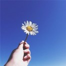 ＊hope...%