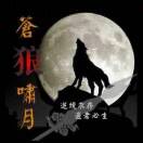 苍狼啸月