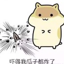 ゛往后余生。的头像-音创社AI SonoCraft丨科技改变未来