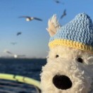 程凯<span class="io-vip-comment-badge"><span class="vip-level-badge" style="--iovips-level-color:#9ca3af;"><i class="fa fa-user"></i> 普通会员</span></span>