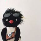 Portswood House转租