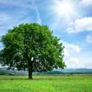 《走不出美丽》