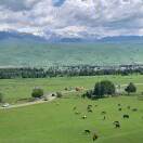 fang-秀琴曲谱网