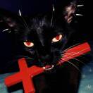user_2v9vv6nn0puhjlja member profile picture