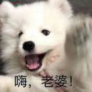 谢菲尔德求租