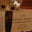 曼彻斯特求租