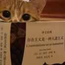 曼彻斯特求租
