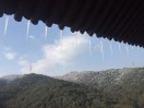 王先生的头像