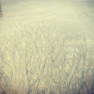 还没请教尊姓大名