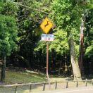 sh031426的头像-梦楠分享