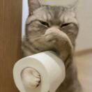 用户22944659的头像-音创社AI SonoCraft丨科技改变未来