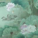 亚米UGC圖片