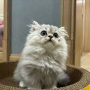 万般有的头像-外科技术网