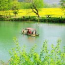 彼岸花开|明哥资源