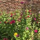 幼教玩具齐缤18792552502豪奇