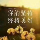 新兴绿环