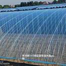 华力塑料厂-15964309866